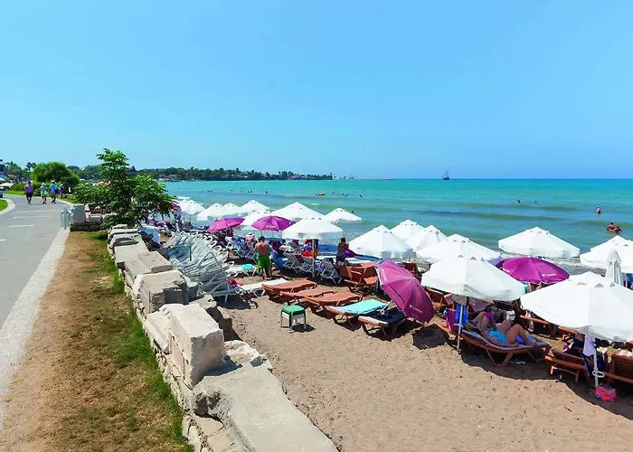 Clover Magic Park 3* Side