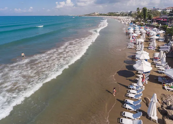 Clover Magic Park 3*