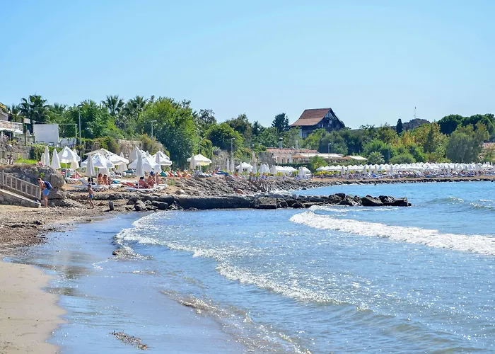 Clover Magic Park Готель