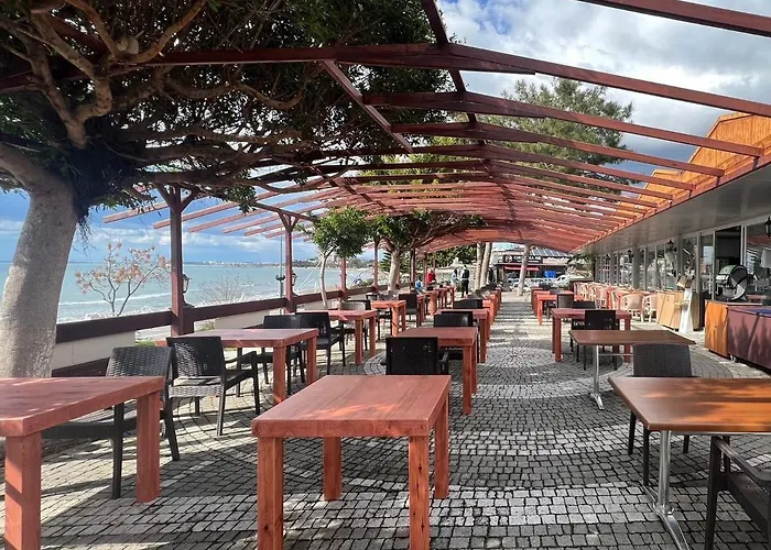 Clover Magic Park 3* Сіде