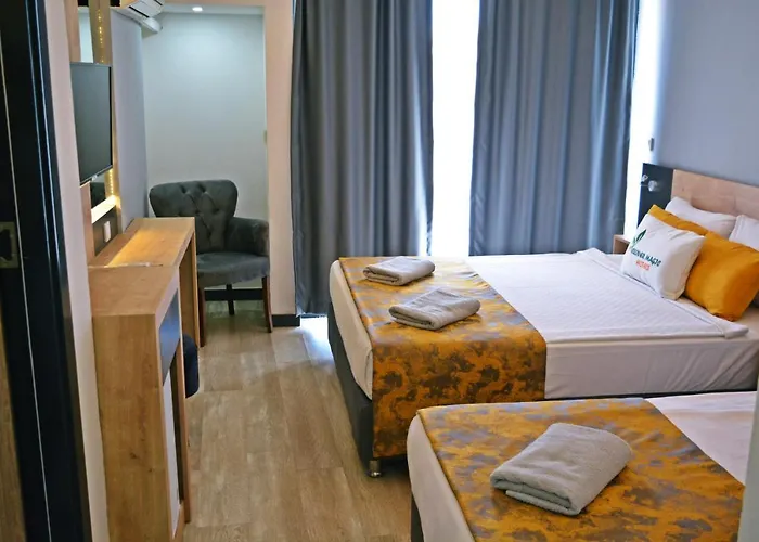 Clover Magic Park Сіде